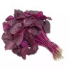 লাল শাক - ১ আঁটি  (Premium Fresh Red Amaranth) - ২৫০/৩০০ গ্রাম