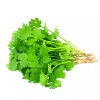 সুগন্ধি ধনিয়া পাতা - ১০০ গ্রাম  (Fresh Coriander Leaves / Dhania Patta) 
