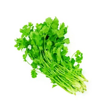 সুগন্ধি ধনিয়া পাতা - ১০০ গ্রাম  (Fresh Coriander Leaves / Dhania Patta) 