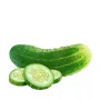 সবুজ সতেজ শসা - ১ কেজি  (Premium Quality Fresh Cucumber) 
