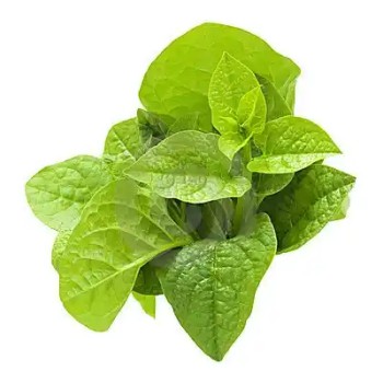 পুই শাক  ১ কেজি  (Fresh Pui Shak / Malabar Spinach)