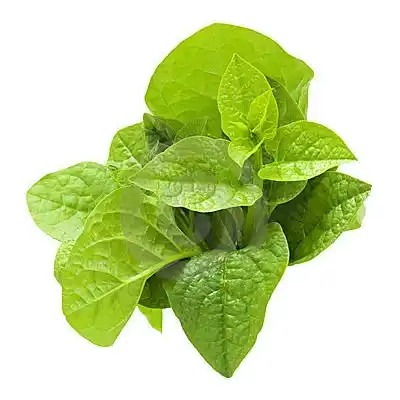 পুই শাক  ১ কেজি  (Fresh Pui Shak / Malabar Spinach)