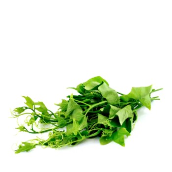 লাউ শাক - ১ কেজি (Fresh Bottle Gourd Leaves / Lau Shak)