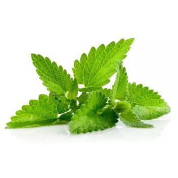সুগন্ধি পুদিনা পাতা - ১০০ গ্রাম (Fresh & Aromatic Mint Leaves)