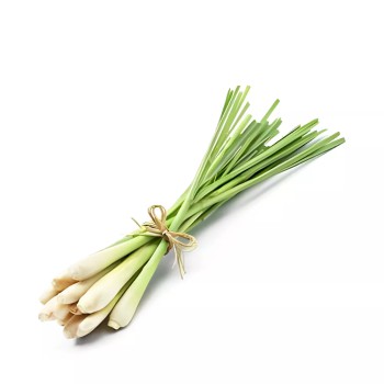 ফ্রেশ লেমন গ্রাস - ২৫০ গ্রাম (Premium Fresh Lemon Grass)