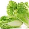 চাইনিস ক্যাবেজ - ৫০০ গ্রাম (Premium Chinese Cabbage/Napa Cabbage) 