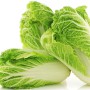 চাইনিস ক্যাবেজ - ৫০০ গ্রাম (Premium Chinese Cabbage/Napa Cabbage) 