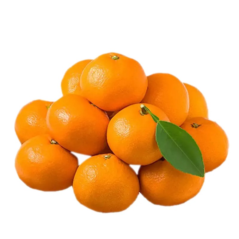 প্রিমিয়াম মিষ্টি চায়না কমলা (China Orange) - ৫০০গ্রাম (প্রতি পিস (± ৪০ গ্রাম))