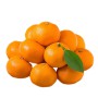 প্রিমিয়াম মিষ্টি চায়না কমলা (China Orange) - ৫০০গ্রাম (প্রতি পিস (± ৪০ গ্রাম))