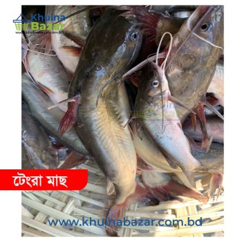 সুন্দরবন অঞ্চলের ফ্রেশ টেংরা মাছ - ১ কেজি (৫০+ পিস কেজি)