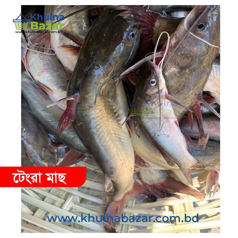 সুন্দরবন অঞ্চলের ফ্রেশ টেংরা মাছ - ১ কেজি (৫০+ পিস কেজি)