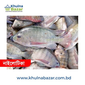 ফ্রেশ নাইলোটিকা মাছ (৩-৫ পিস কেজি) - Fresh Nilotica Fish