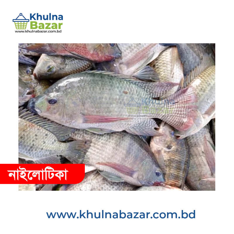 ফ্রেশ নাইলোটিকা মাছ (৩-৫ পিস কেজি) - Fresh Nilotica Fish