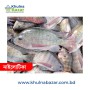 ফ্রেশ নাইলোটিকা মাছ (৩-৫ পিস কেজি) - Fresh Nilotica Fish