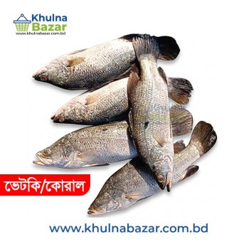 ফ্রেশ ভেটকি বা কোরাল মাছ (Vetki/Koral Fish) - ১ কেজি (১.৫ থেকে ২ কেজির মাছের অংশ)