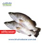 তাজা ভেটকি বা কোরাল মাছ (Vetki/Koral Fish) - ১ কেজি (৩ - ৫ কেজি ওজনের পিস)