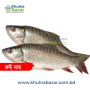 তাজা ও প্রিমিয়াম রুই মাছ (Fresh Rui Fish) - ১ কেজি ( ১/৩ কেজি মাঝারি সাইজ )