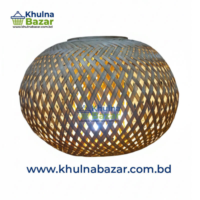 Modern Single hanging Lamp shade with Holder & 2-Pin Plug