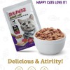 Dr. Petz Tuna & Chicken In Jelly Cat Food Pouch - 70 Gm