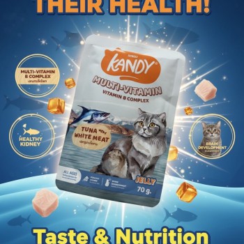 Kandy Multi-Vitamin Pouch - Tuna & White Meat In Jelly (70g)