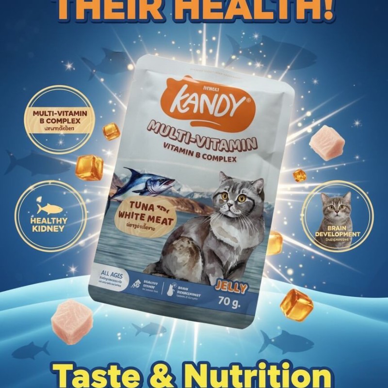 Kandy Multi-Vitamin Pouch - Tuna & White Meat In Jelly (70g)
