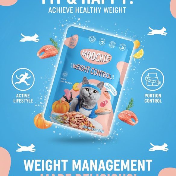Moochie Weight Control Mince With Salmon Wet Cat Food - 70g (Pouch)