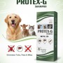 GEEVET PROTEX-G শ্যাম্পু -১০০ মি.লি.